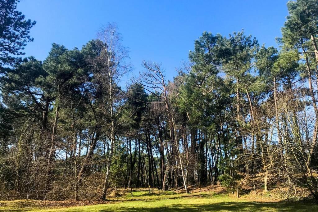 Villa Les Lutins Le Touquet Buitenkant foto