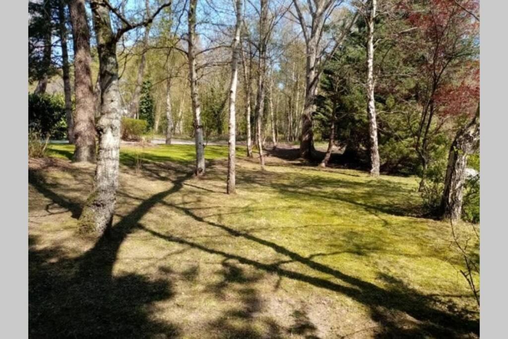 Villa Les Lutins Le Touquet Buitenkant foto